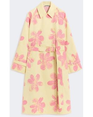 Max Mara Graben Frau Gelb - Pink
