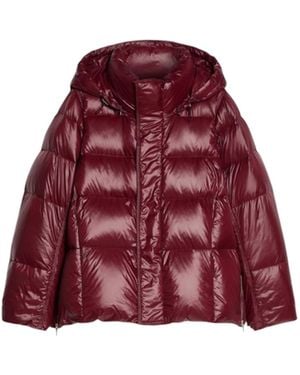 Pennyblack Jacket Pbbfo - Red
