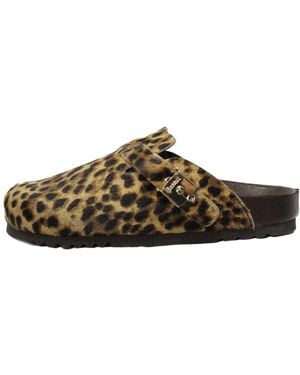 Scholl Scholl Scholl - Bruin