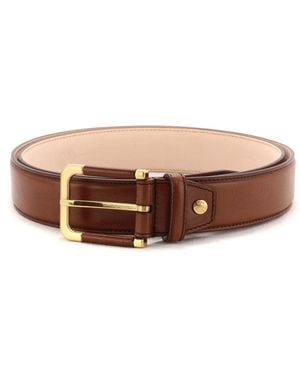 The Bridge Belts - Brown