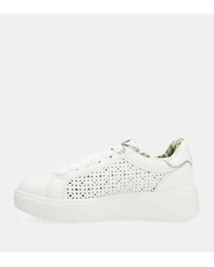ANEKKE Sneakers - White