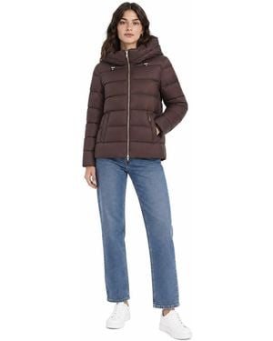Add Chaquetas Marron - Azul