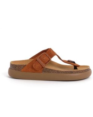 Scholl Sandals - Brown