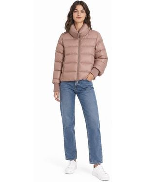 Add Chaquetas Rosadas - Azul