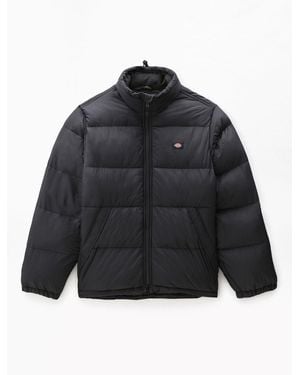 Dickies Jasjes En Jasjes Voor Waldenburg - Zwart