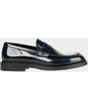 Exton Niedrig Schuhe Blau - Schwarz
