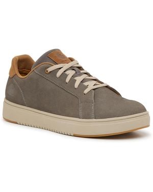 Carhartt Detroit Sneaker - Brown