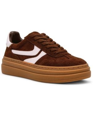 Steve Madden Dodge Sneaker - Brown