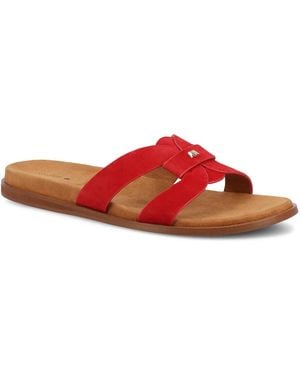 Birdies The Sunbird Sandal - Red