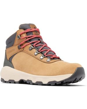 Columbia Newton Wanderer Mid Hiking Boot - Black