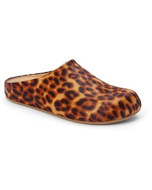Matisse Daria Clog - Brown