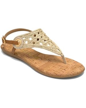 Aerosoles Conclusion Sandal - Brown