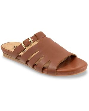 Softwalk Carolina Sandal - Brown