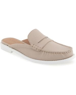 Aerosoles Salome Mule - Gray