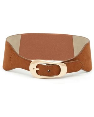 Steve Madden Stretch Belt - Brown