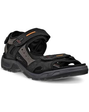 Ecco Yucatan River Sport Sandal - Black