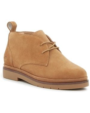 Hush Puppies Velox Chukka Boot - Brown