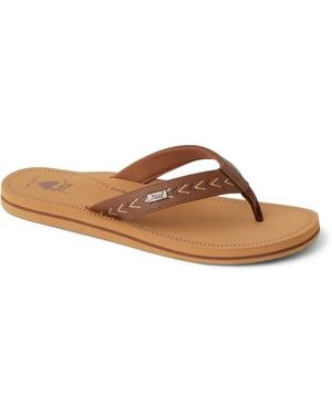 Reef Beachbreak Flip Flop - Brown