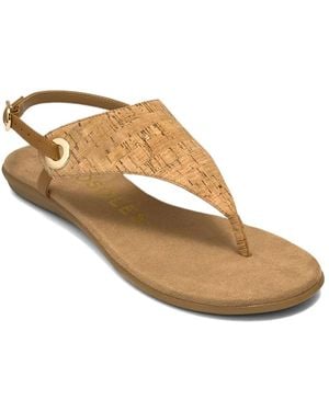 Aerosoles Conclusion Sandal - Black