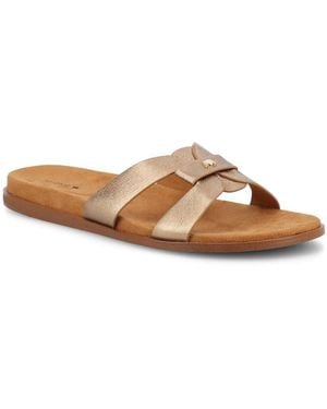 Birdies The Sunbird Sandal - Brown