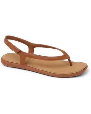 Reef Water Willow Maya Sandal - Brown