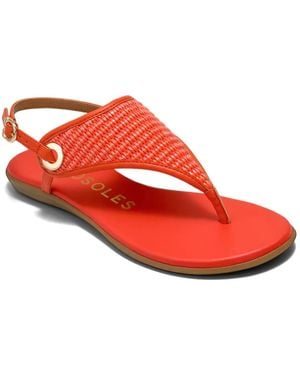 Aerosoles Conclusion Sandal - Red