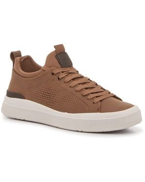 Steve Madden Perla Jogger Sneaker - Brown