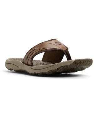 Sperry Top-Sider Outerbanks Sandal - Brown