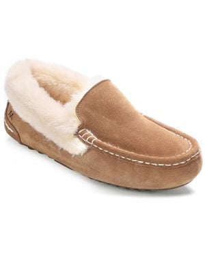 Mykos Aussie Slipper - Black
