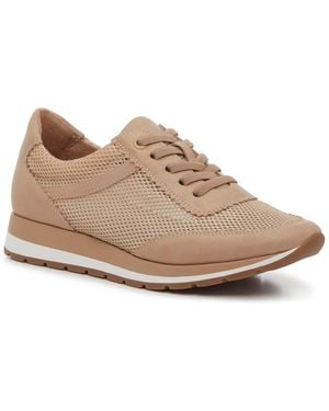 Kelly & Katie Danni Jogger Sneaker - Brown