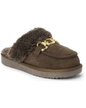 Matisse Davos Mule - Brown