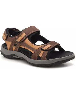 Drew Warren River Sandal - Brown