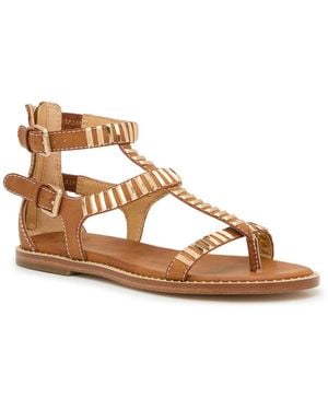 Frye & Co. Bucky Gladiator Sandal - Brown
