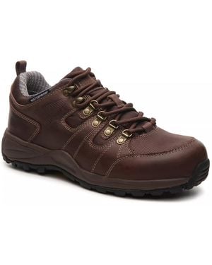 Drew Canyon Walking Shoe - Brown