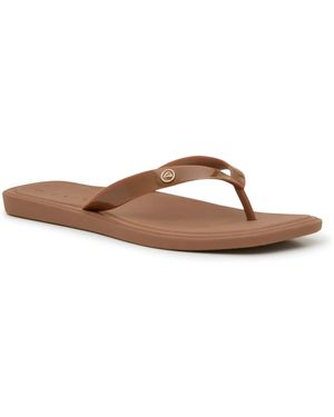 Reef Solaye Flip Flop - Brown