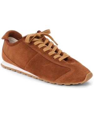 Matisse Lincoln Sneaker - Brown