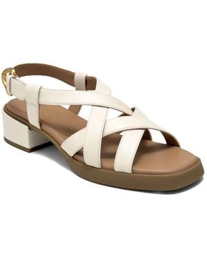 Aerosoles Daily Low Heeled Sandal - Black