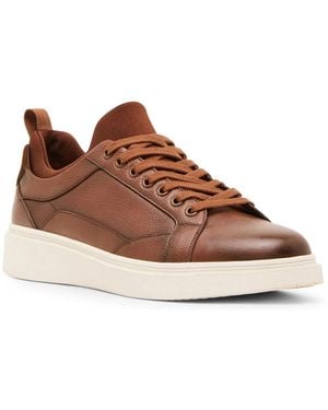 Steve Madden Panthr Sneaker - Brown