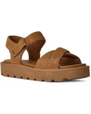 UGG Sungaze Platform Sandal - Brown