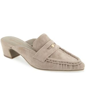 Splendid Lotus Loafer - Gray