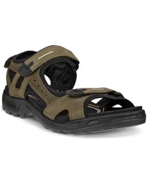 Ecco Men's - Black