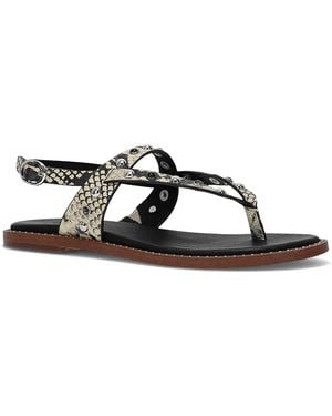 Frye & Co. Bucky Sandal - Black