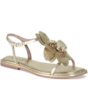 Diba True Per Shing Sandal - Multicolor