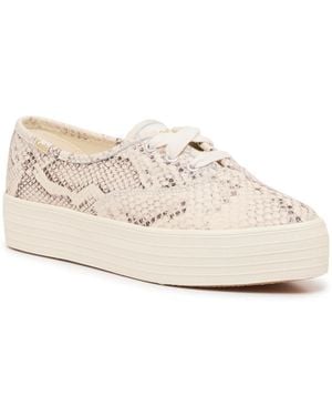 Keds Point Sneaker - White
