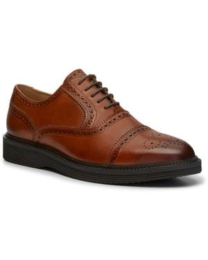 Vince Camuto Wide Width Ivon Wingtip Oxford in Brown for Men  display picture 1