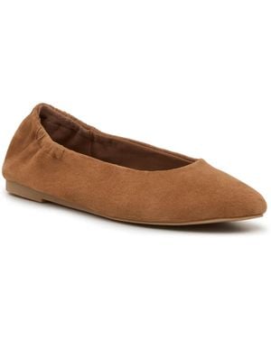 Steve Madden Zima Ballet Flat - Brown