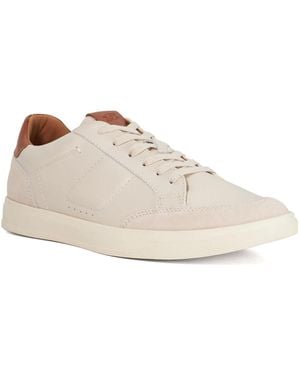 Dune Tabor Cupsole Trainers - Natural