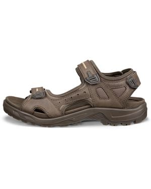 Ecco Offroad - Brown