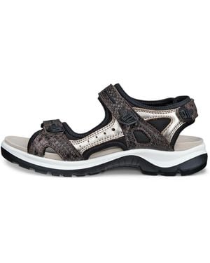 Ecco Offroad - White