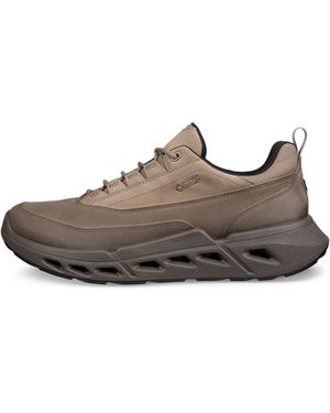 Ecco Biom 720 - Brown